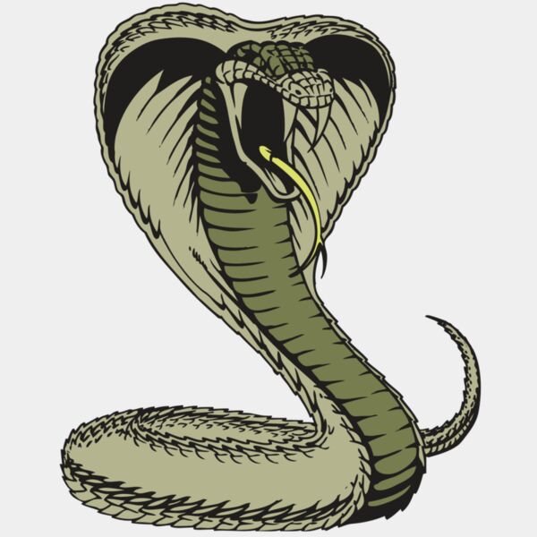 BAW SNAKE 07 RC Thumbnail