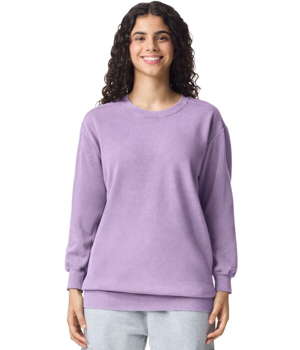 Crewneck Sweatshirt Thumbnail